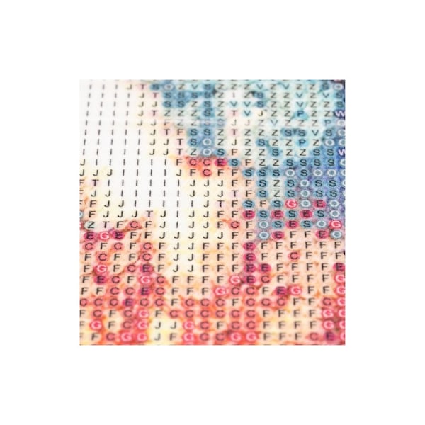 5D DIY -kirjonta timanttimosaiikilla MultiColor Variant 2