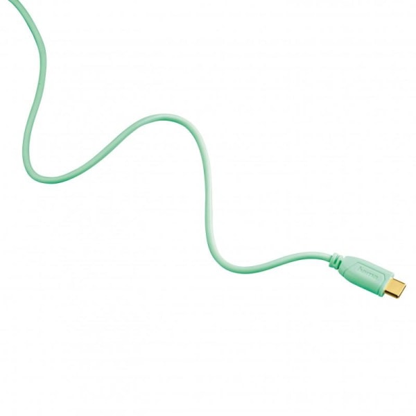 0,75 m latauskaapeli USB-C HAMA Flexislim Green Green