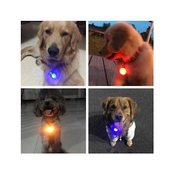 LED-lampa till Hund- och Katthalsband Vit