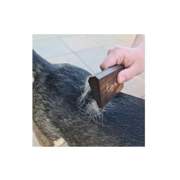 Hundborste för Grovt Hår