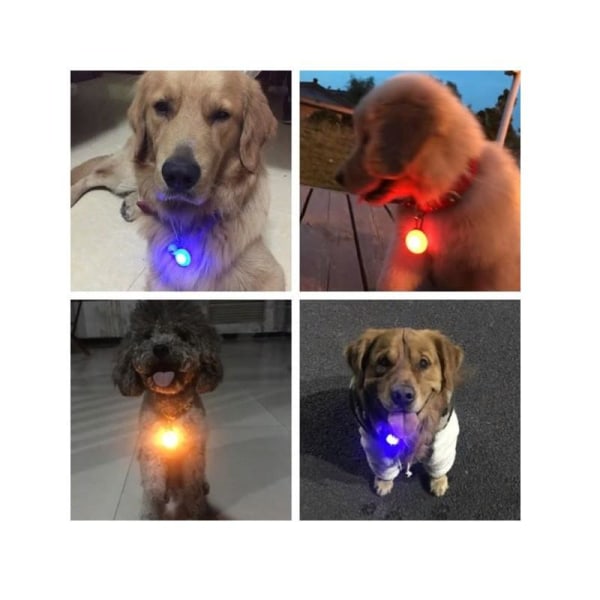 LED-lampa till Hund- och Katthalsband Lila