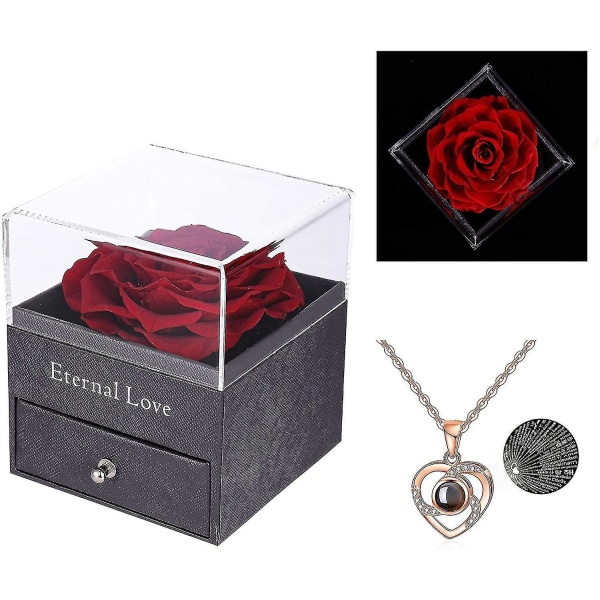 Preserved Real Rose With Love You Necklace In 100 Languages Gift Set CMK