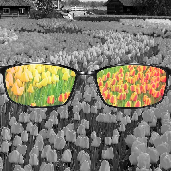 Glasögon för korrigering av färgblindhet