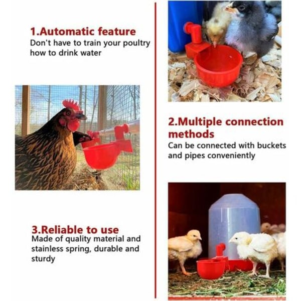 6st automatiska kycklingdrickare tillbehör Skålkoppar Plastskål, fågelvattenautomater Automatiska dricksvattenkoppar f