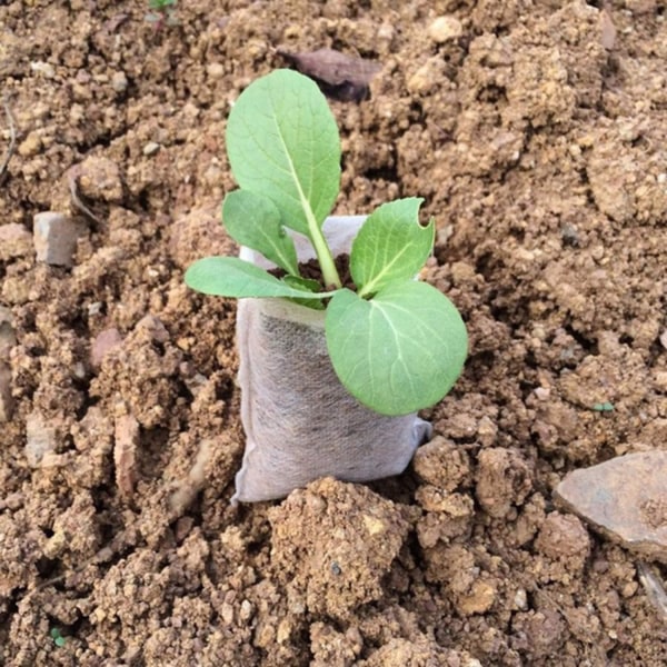 100-Pak - Tomme frøposer / Frøplanteposer - Plante white