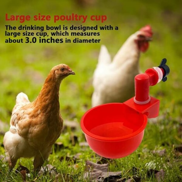 6st automatiska kycklingdrickare tillbehör Skålkoppar Plastskål, fågelvattenautomater Automatiska dricksvattenkoppar f