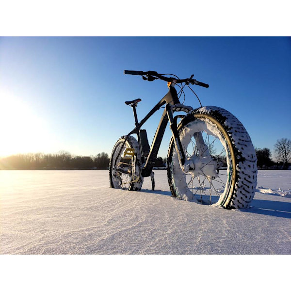 CST ROLY POLY Dæk 26x4.8 - Fedcykel Terrændæk 60TPI, 122-559