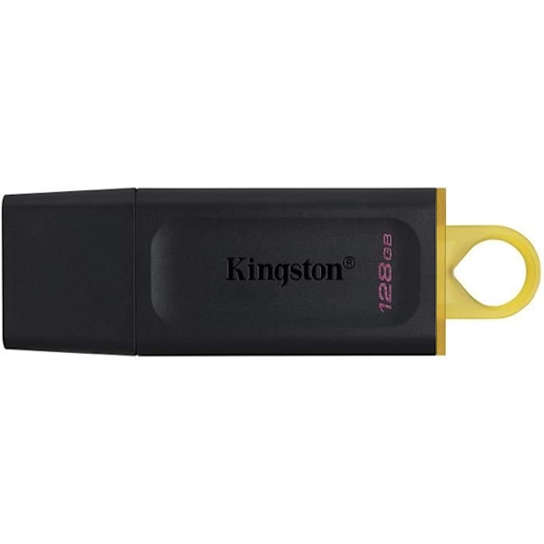 Kingston DataTraveler Exodia DTX-128GB USB 3.2 Gen 1 flash-enhet - med skyddslock och flera nyckelringar[158]