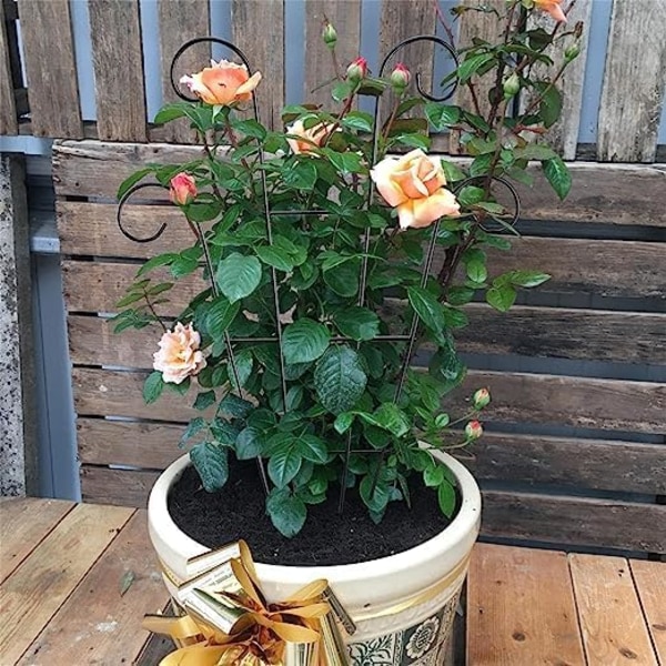 2-pack växtstöd för klätterväxter - Trädgårdsstöd för inomhus- och utomhusbruk - för klätterväxter, blommor och grönsaker