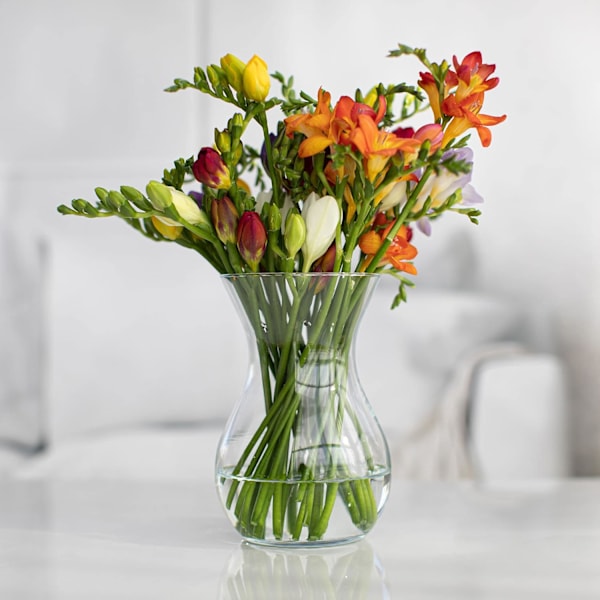 TREND FOR HOME Blomvas 23 cm Tulpanvas Glas Blomvas Dekorativ Glas Blomvas Sovrumsdekoration Transparent Blomvas