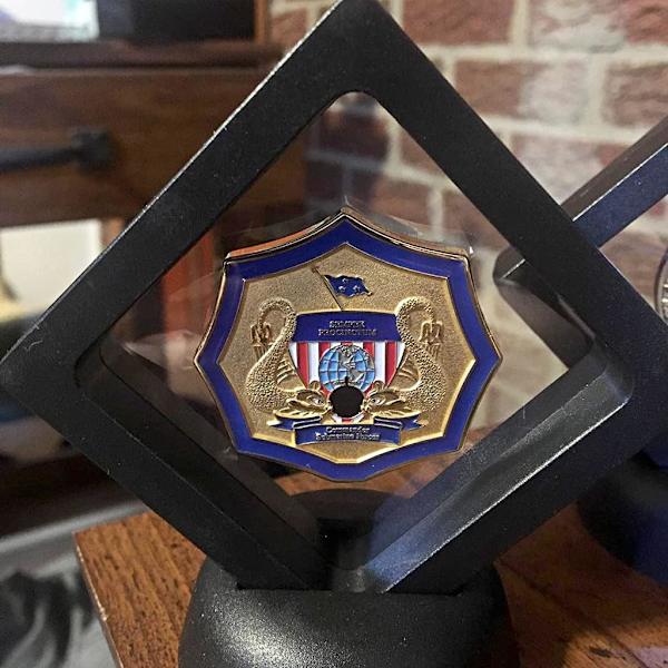 10 kpl 3D-kelluva vitriinirunko Vitriini Kirkas näyttö AA-mitalille Antiikkihaastekolikko Siru Koru Pin, Musta