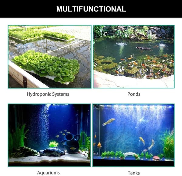 Djup Luftsten Diffuser, Akvarium Syrediffuser, 2 Runda Luftstenar, Luftsten kompatibel Akvarium, Akvarium Luftsten, Akvarium Bubblare, Akvarium Luft Bu