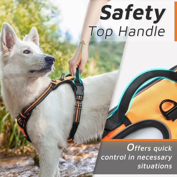 Reflekterande hundsäkerhetssele, ingen dragning Lätt att ta på, hållbar, med kontroll