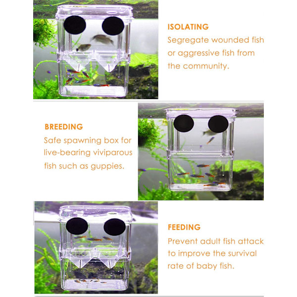 Fiskodlingslåda, flytande akvarium akryl kläckeri, babyfisk räka kläckningslåda
