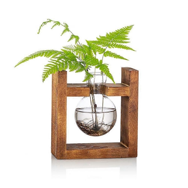 Glödlampa Avokadovase i Glas, Ekelvas för Blommor, Terrariumburk, Planteringskärl med Trähylla, Ställ för Gröna Vattenväxter, Passar för Hem K