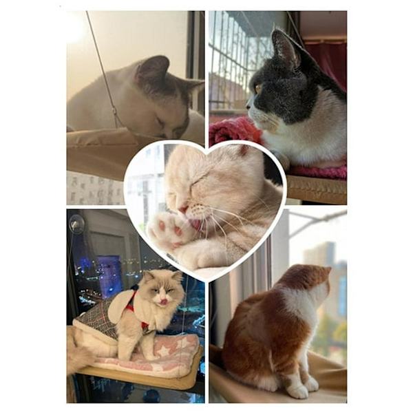 Katt Hängmatta, Katter Fönster Abborre Vila Säte Säng Hållbar Högpresterande Sugkoppar Håller Upp Till 30lbs, ROSA