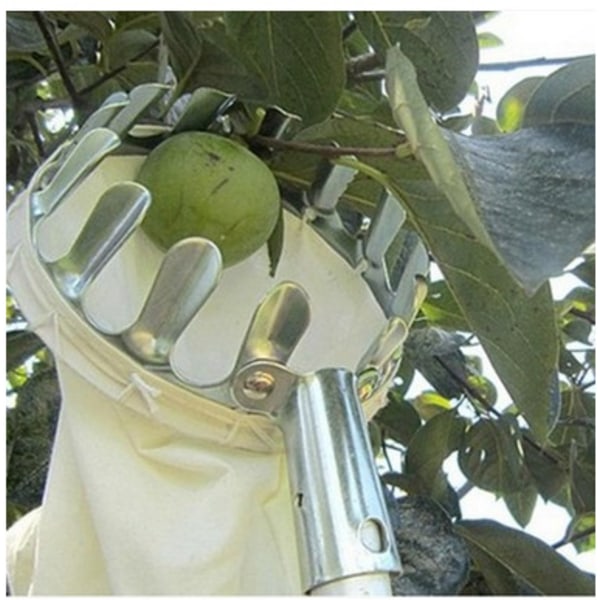 Fruktplockare Fruktplockare silver, utan metall teleskopskaft Apple pic