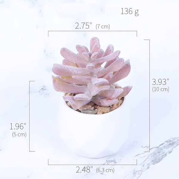 Sett med 4 mini kunstige sukkulenter, kunstige planter med potter, kunst