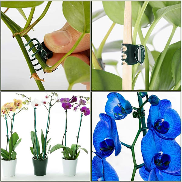 Orkidéklipp, 100 st plantklipp, växtklipp, orkidéklipp, plastorkidéklipp, små klämmor, växtklipp, orkidé