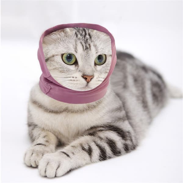 Hundhattar Husdjursöron Ljudskydd Hundöronmuffar Hund rosa M