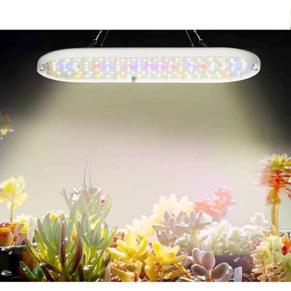 LED-plantevekstlys, fullt spekter for drivhus og innendørs hydroponikk B