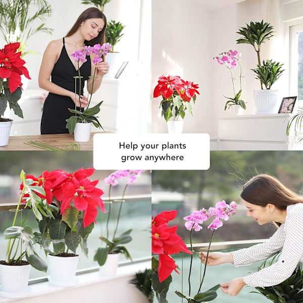2 Plantestøtter - Støtter til klatreplanter og blomster - Grøn pæl - H