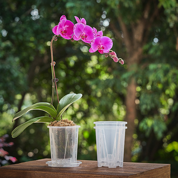 5 stk. Kraftige plastblomsterpotter med skål som er motstandsdyktige mot vridning og brudd