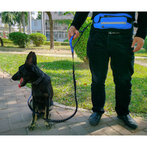 Fleksibel hundekobbel med mageveske, blå