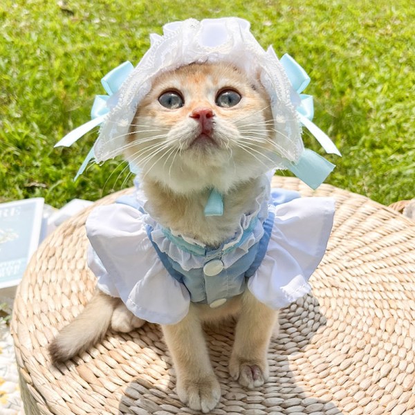 Pet Cat Hund Cosplay Maid Outfit Kläder Halloween Pet Kostym för Halloween