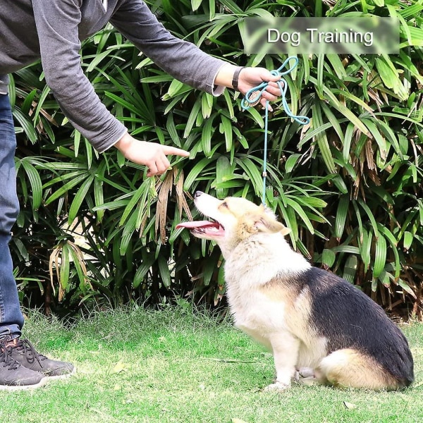 Dog Training Leash Lasso Reflective Leash Leash For Small, Medium, Large An