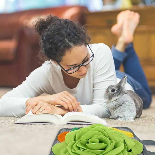Pet Sniffing Mat Nose Feeding Mat Training Rabbit Feeding Activity Mat grønn