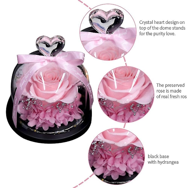 Bevart rose i glasskuppel for romantisk dekor, rosa
