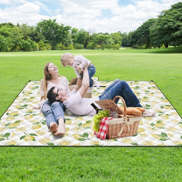 Picnic tæppe, 200 x 200 cm Vandtæt strandmåtte, Bærbar picnic tæppe