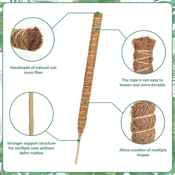 Moss Pole Hampa Rep Non-deformerad Robust Lätt att Installera Absorption DIY Böj