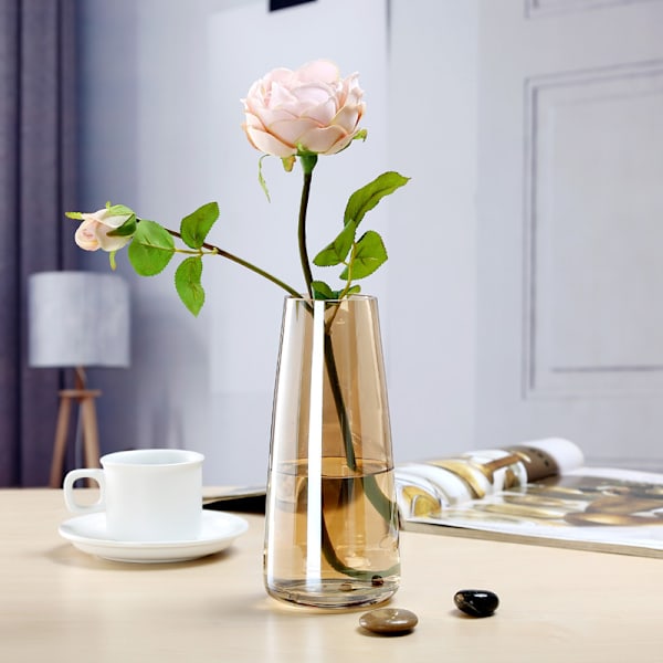 Blyfri glasvas, Pampasgräsvas, 22 cm minimalistisk glasvas f