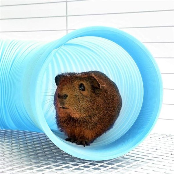 2 ST Hamster Tunnels Pet Plast Tube Tunnel Roliga leksaker för pussel övning