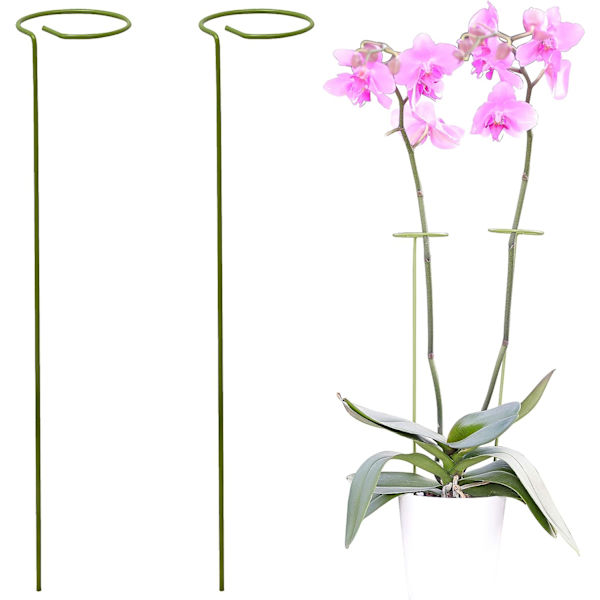 2 Plantestøtter - Støtter til klatreplanter og blomster - Grøn pæl - H