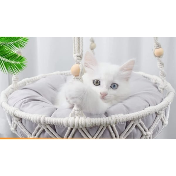 Katt Hängmatta, Spets Hängande Gunga Husdjurssäng Korg Hem Husdjur Katt Tillbehör