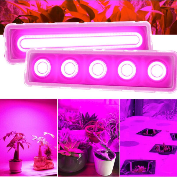 LED Plant Grow Light, Full Spectrum Growth Lamp för inomhusväxter, Plant La