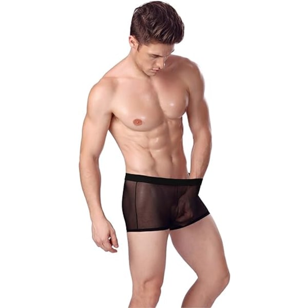 Underkläder för män Sexiga Mesh andas boxer Låghöjd Cool Boxers Pack