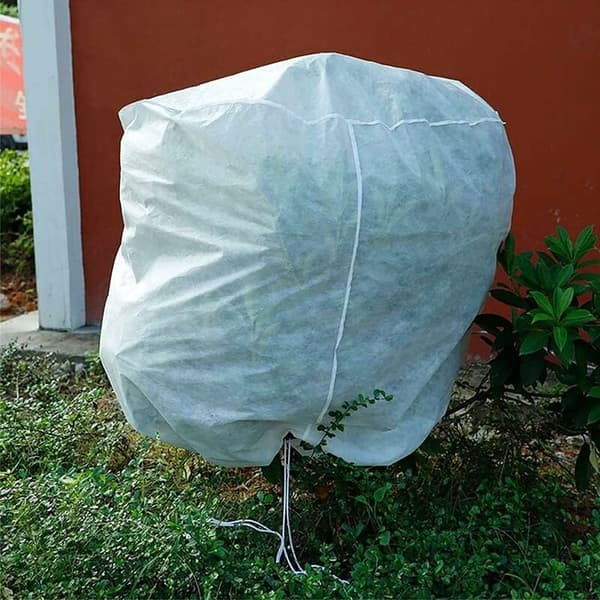 Plante Vinterdekke, Oliven Vinterdekke, Tre Vinterdekke, Tomat Sitron
