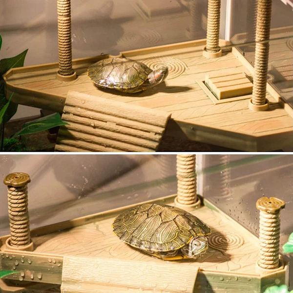 Skildpadde Flydende Platform med Jetty og Krybdyr Solbadestige