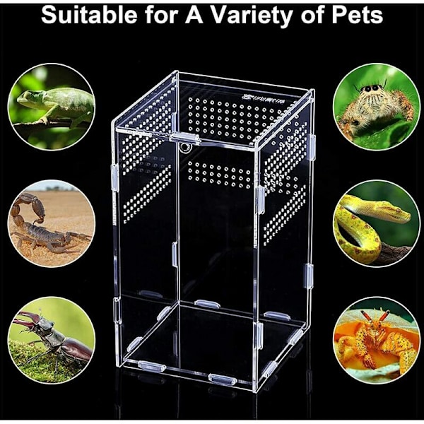 Insektsmatningslåda Akryl Terrarium Behållare för Skorpion Groda Husdjur Reptil Habitat Krypande Bärbar Anti-flykt Design