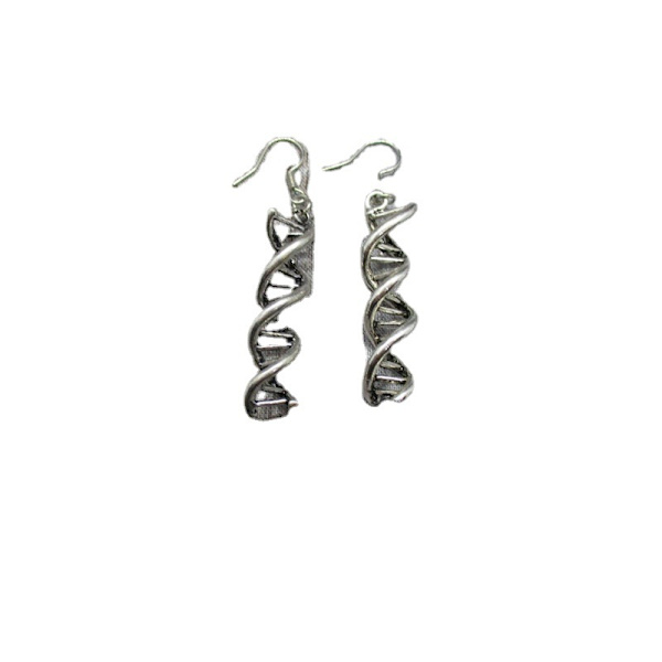 Örhängen DNA Spiral Rostfritt stål krok Silver