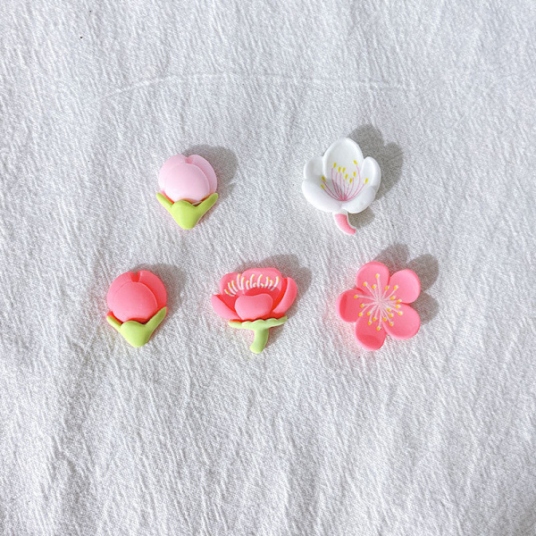 Blomsterskoberlocker för flickor  Peach Blossom Floral Cartoon Skoberlocker Pack