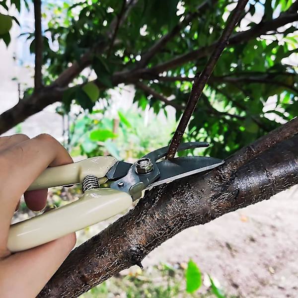 Seccatörer kompatibla för trimning av växter, bonsai
