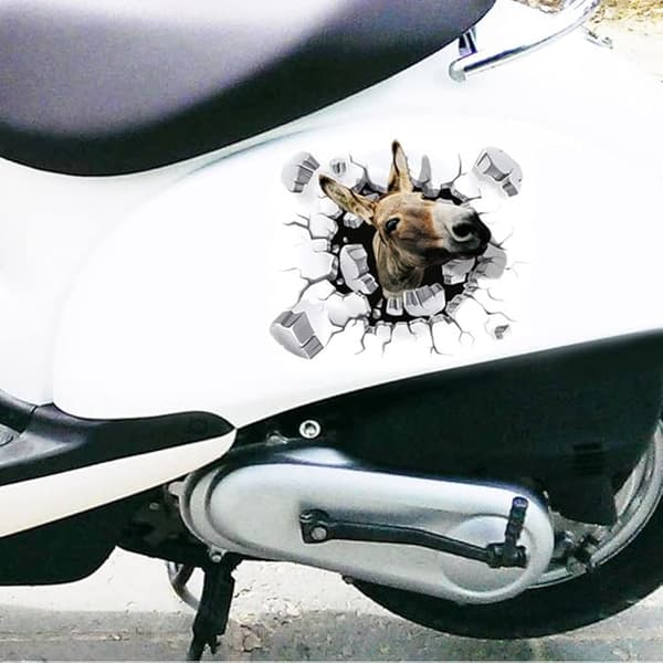 3D-bilstickers, MoreChioce 2-pack åsneskyltar roliga djurbil