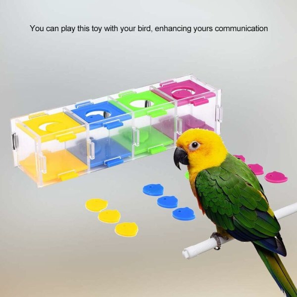 Fågelleksaker, färgglada papegojleksaker Intelligce Intressant fågelträning, Inter