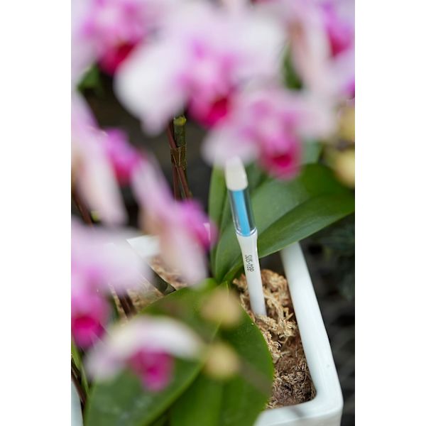 Aquameter, Vandingindikator til planter, nem at bruge, 12 cm (lille, hvid