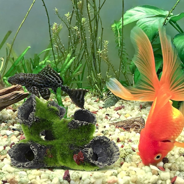 Akvarium Ornament Huleform Steinutsikt med Grønt Gress for å Gjemme Reker og Fisk Landskap Stein Gjemme Hule Tre Akvarium Dekorasjon